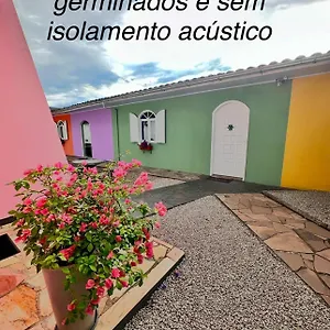 La Amarelo Nova Veneza (Santa Catarina)